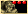rogue.jpg