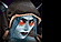 w3u6.gif